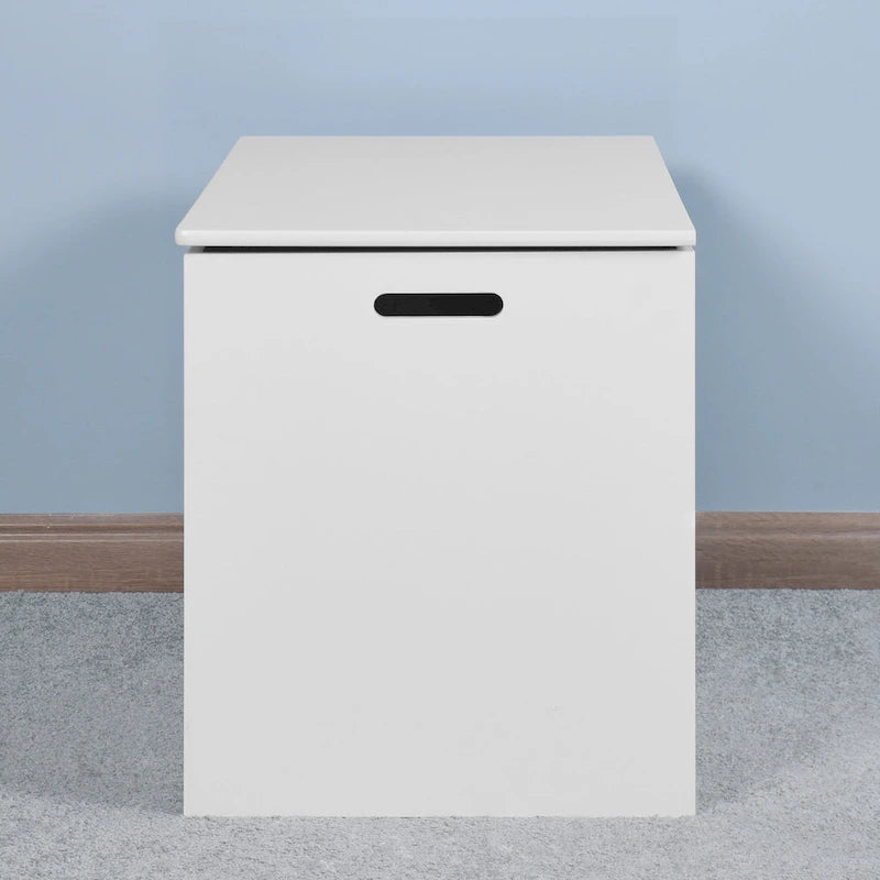 Panca Contenitore con Coperchio Sollevabile e Cerniere di Sicurezza